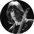 Mike Stern Guitar Equipment