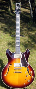 ibanez_as200.jpg