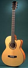 Linda Manzer guitar