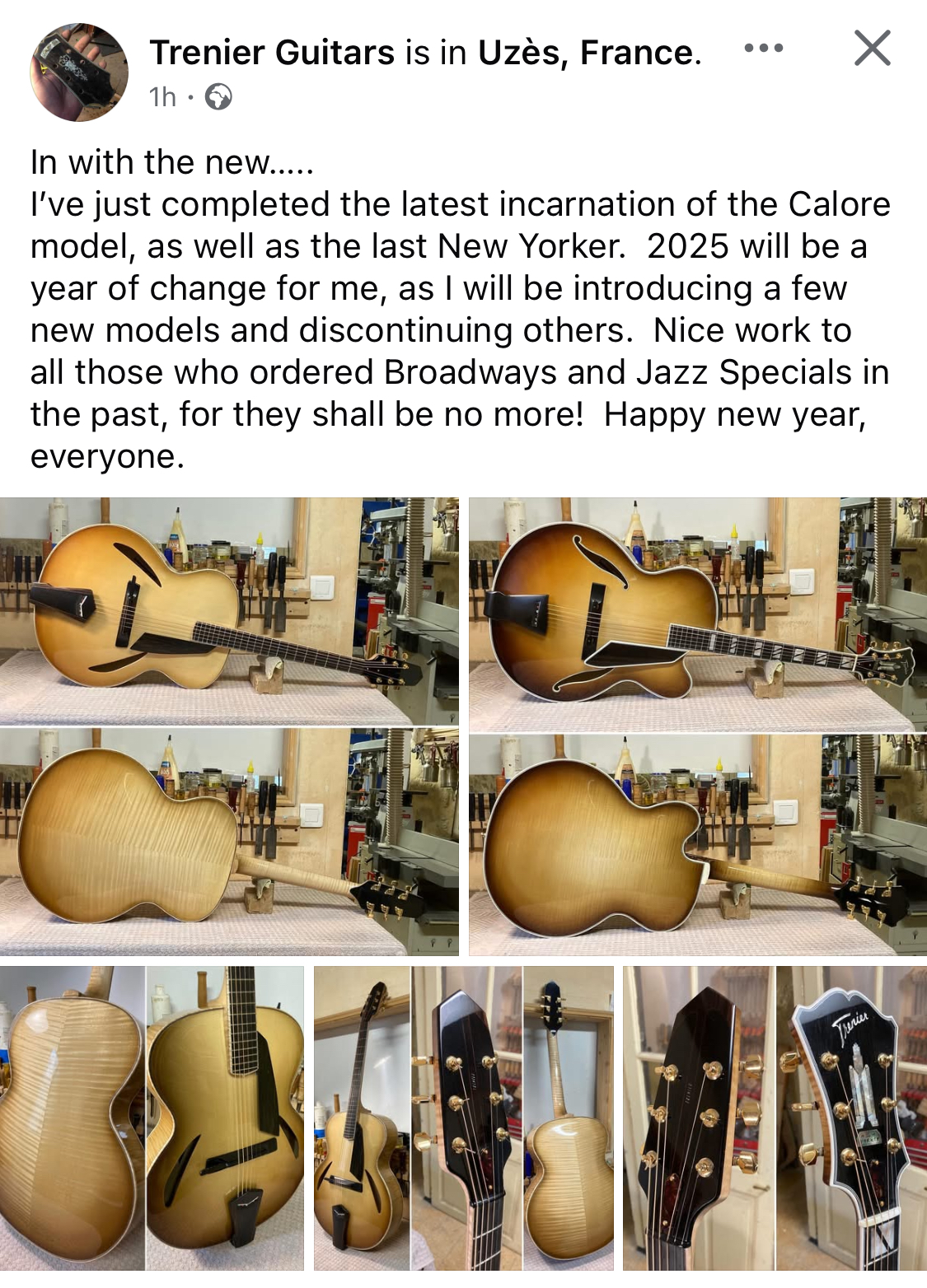 Trenier guitars-img_6029-jpeg