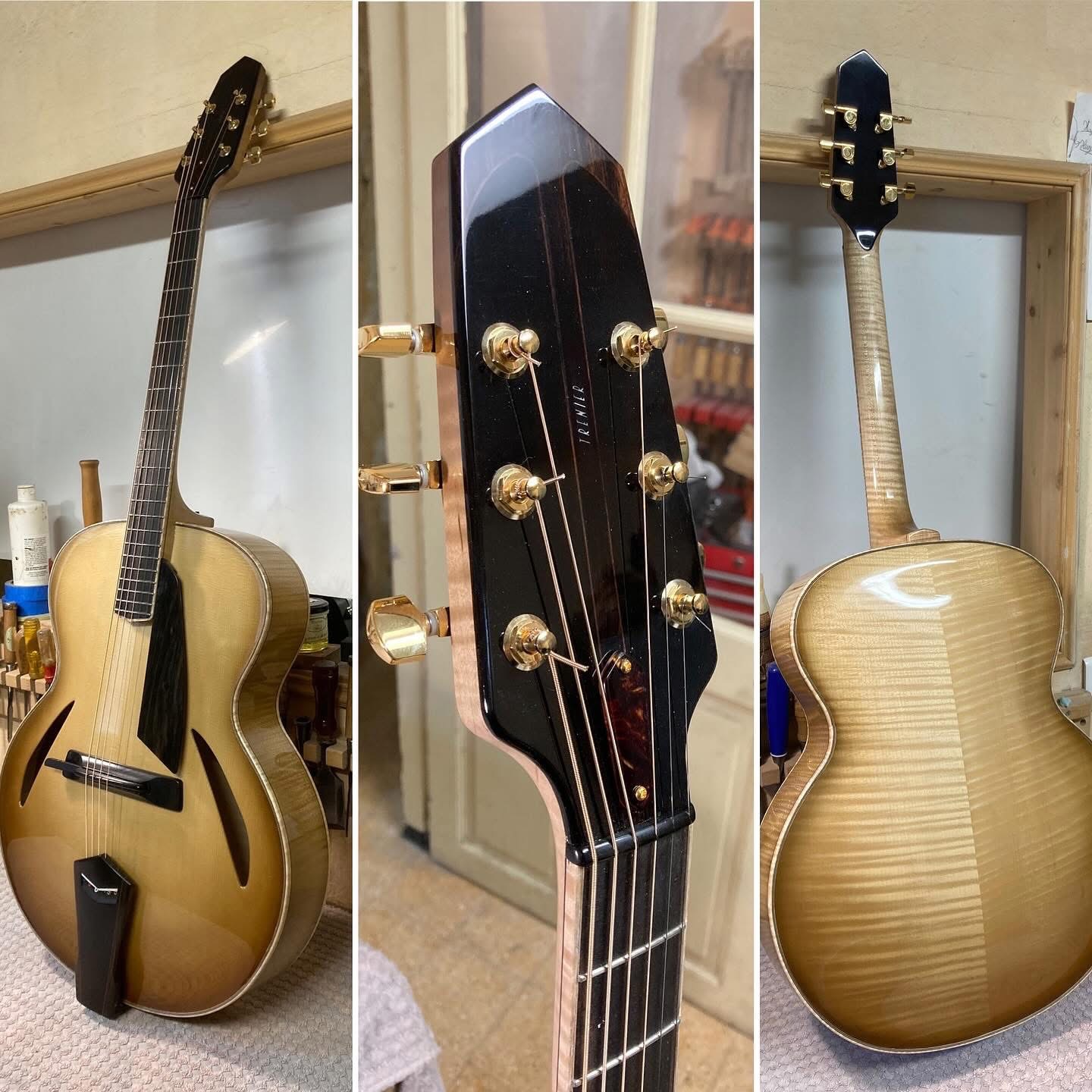 Trenier guitars-img_6033-jpeg