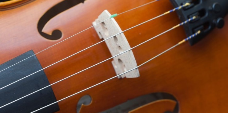Manipulating string brightness physically-damp-jpg