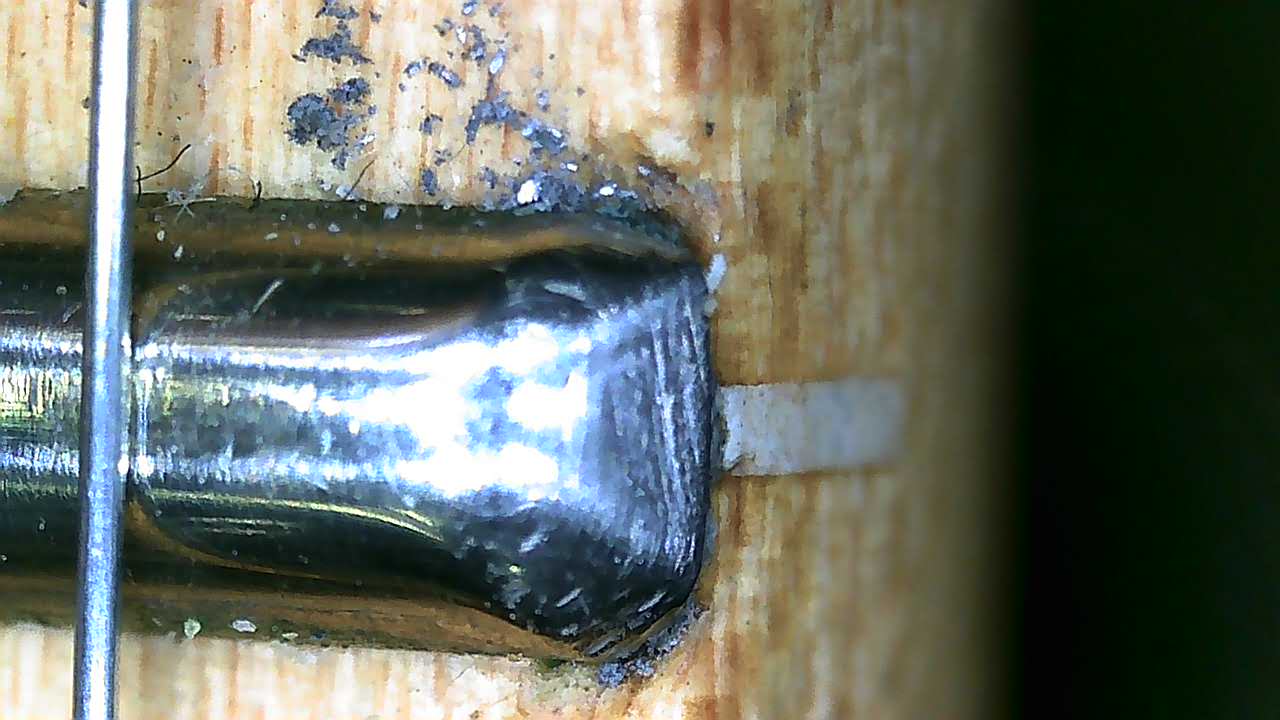 Sharp Fret End-pho00025-jpg