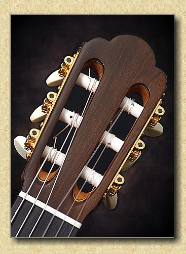 It Begins...-hill_kenny_torres_1856_guitar_b-jpg
