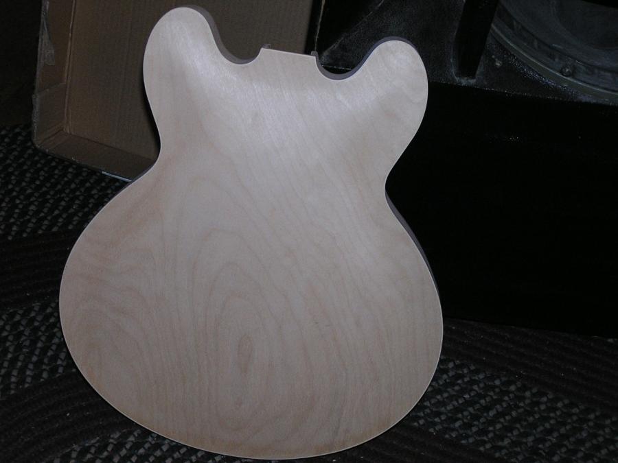DIY Semi-hollow body guitar-p1010020-jpg
