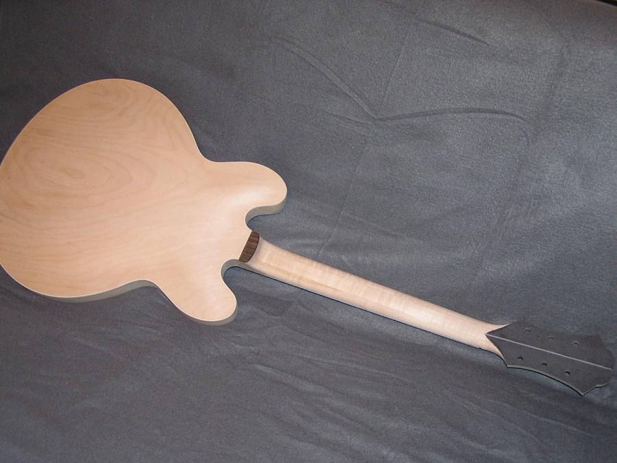 DIY Semi-hollow body guitar-p1010025-jpg