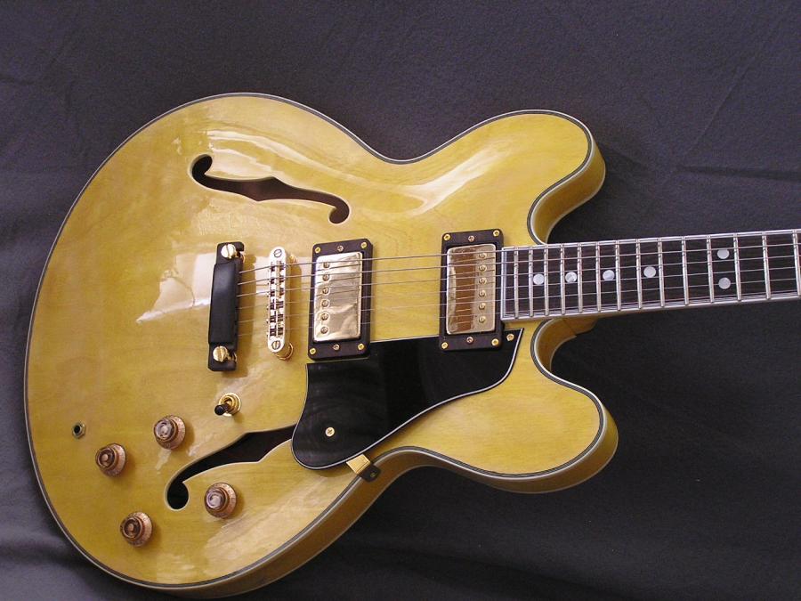 DIY Semi-hollow body guitar-p1010019-jpg