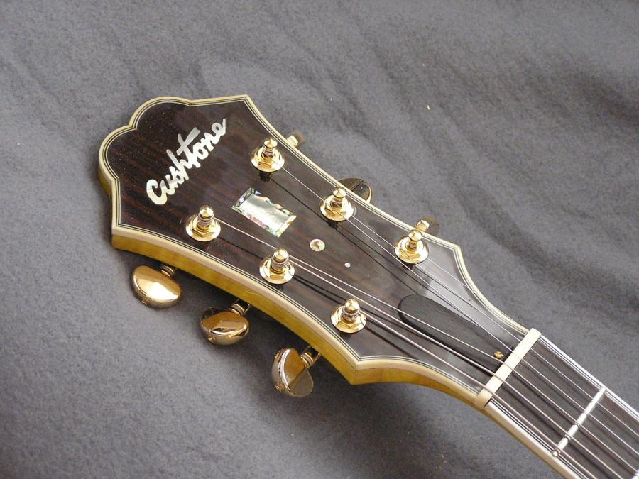 DIY Semi-hollow body guitar-p1010021-jpg