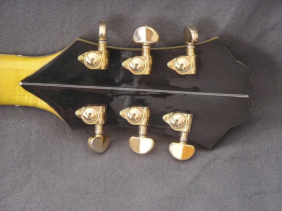DIY Semi-hollow body guitar-p1010009-jpg