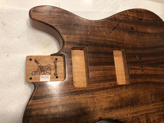 Warmoth Telecaster build-image1-jpeg