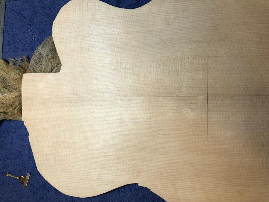 First-timer Archtop Build-img_3123-jpg