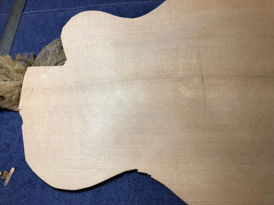 First-timer Archtop Build-img_3124-jpg