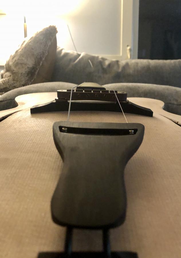 First-timer Archtop Build-e609efa7-d649-4995-8fd6-0828387f5e93-jpg