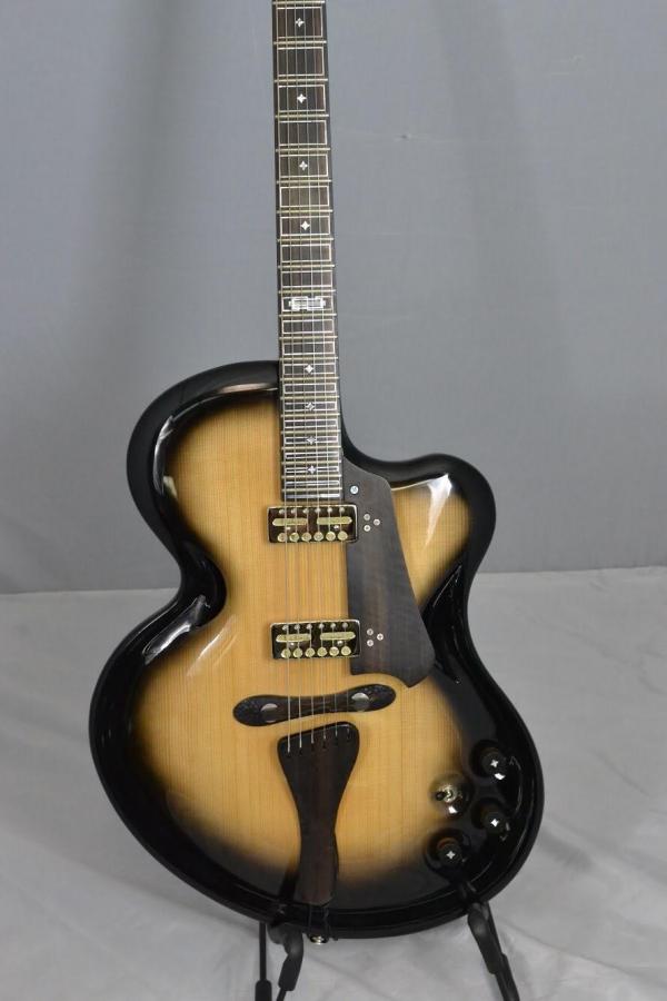 Experimental Archtop-2a623d8a-191e-4296-8816-db44540e57ea-jpg