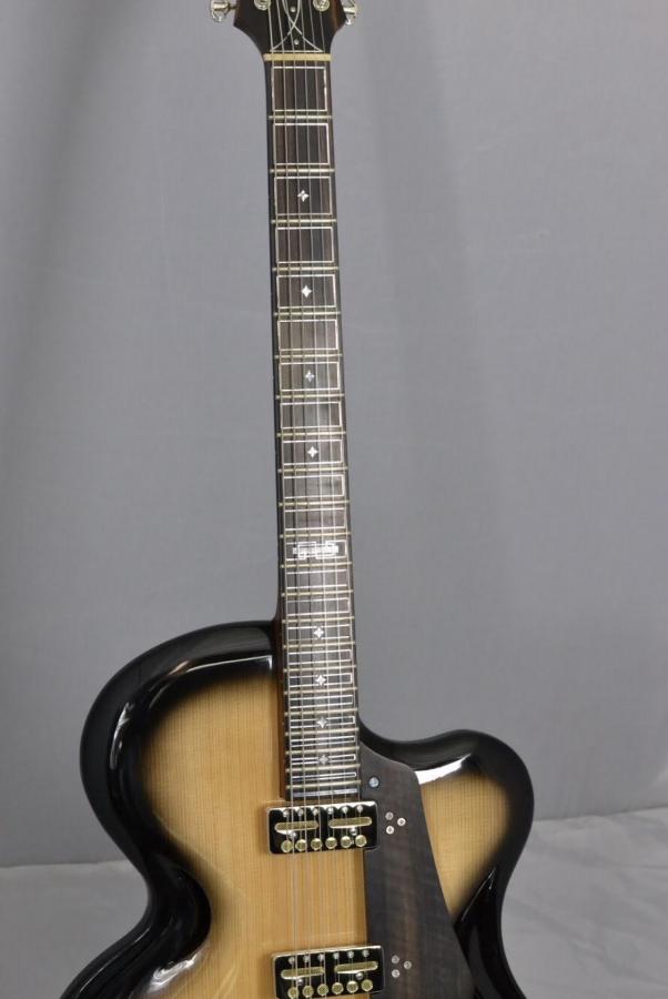 Experimental Archtop-a5fc044e-3549-4960-a1fe-849a6f02a23b-jpg