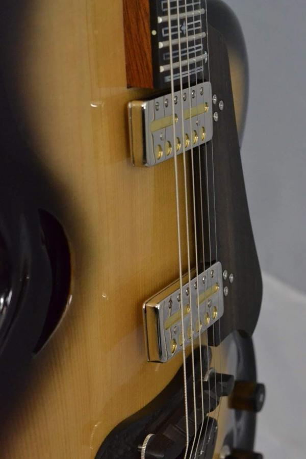 Experimental Archtop-1e164791-32f9-449e-94bd-7ecfcc35ff81-jpg