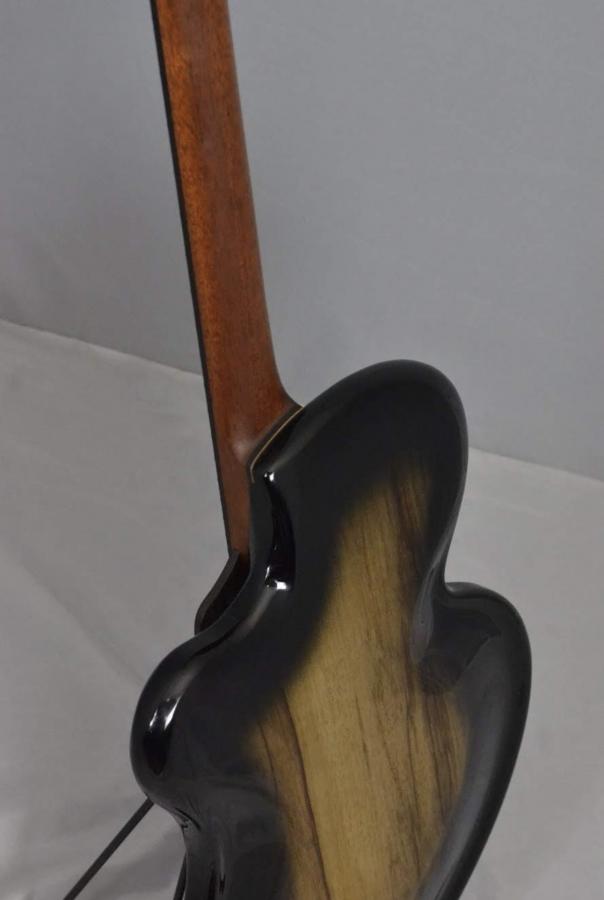 Experimental Archtop-fcea0bd5-380a-4935-8f04-f92a0d6f47e5-jpg