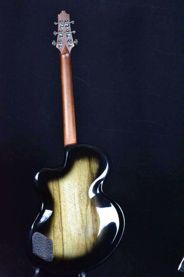 Experimental Archtop-704921ac-aa6d-4435-a8b8-f6b5ef95be87-jpg