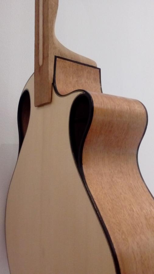 &quot;Celeste&quot; Nylon string crossover build #1-img_20200913_160150-jpg