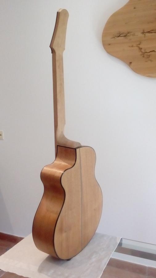 &quot;Celeste&quot; Nylon string crossover build #1-img_20200913_155849-jpg