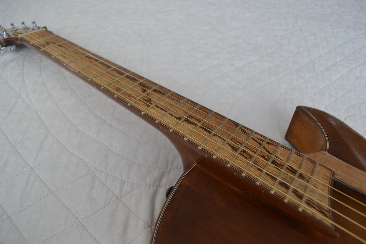 How About a Fanned Fret Archtop?-dsc_0250-jpg