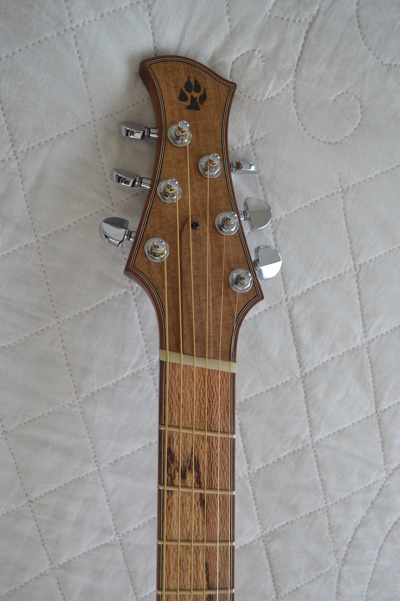 How About a Fanned Fret Archtop?-dsc_0209-jpg