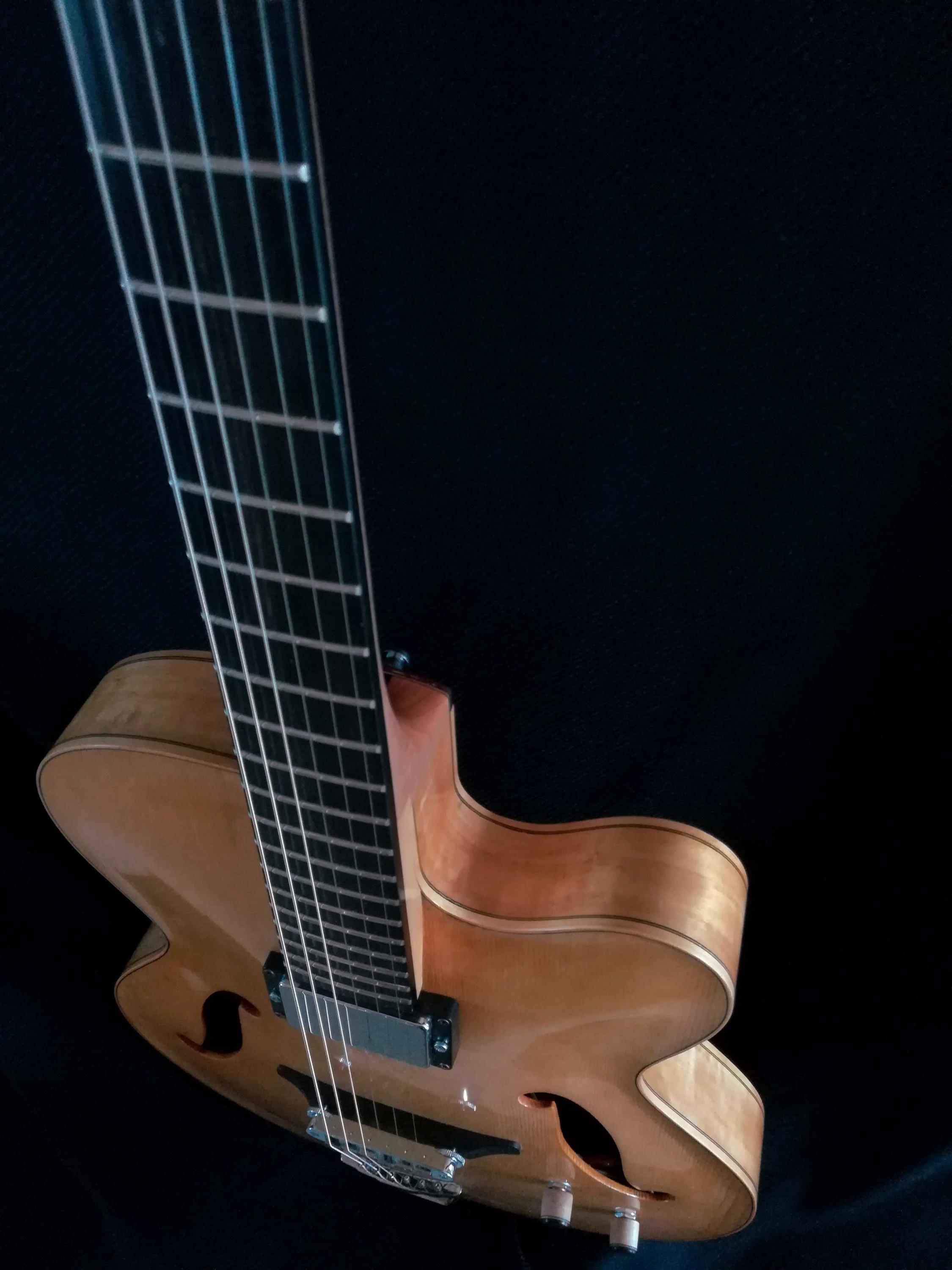 Solid wood Archtop build-5-jpg
