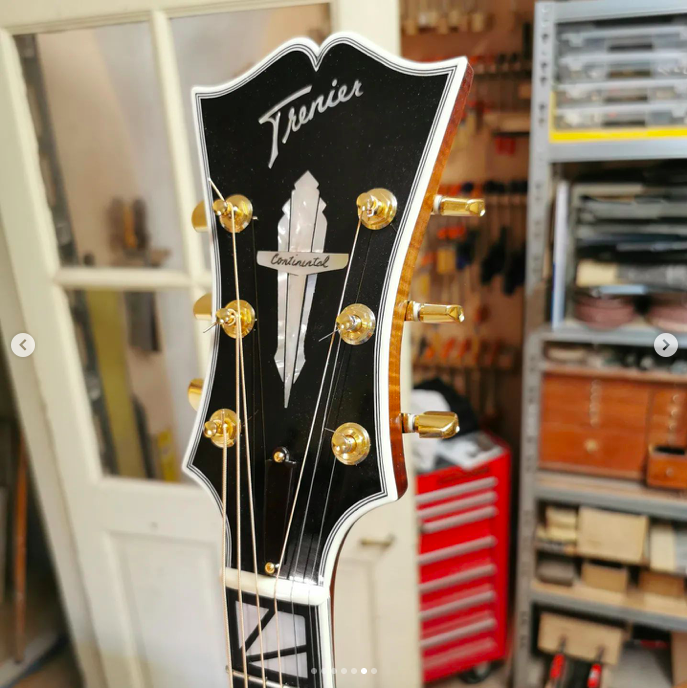 Trenier guitars-screenshot-2022-06-02-18-37-29-png