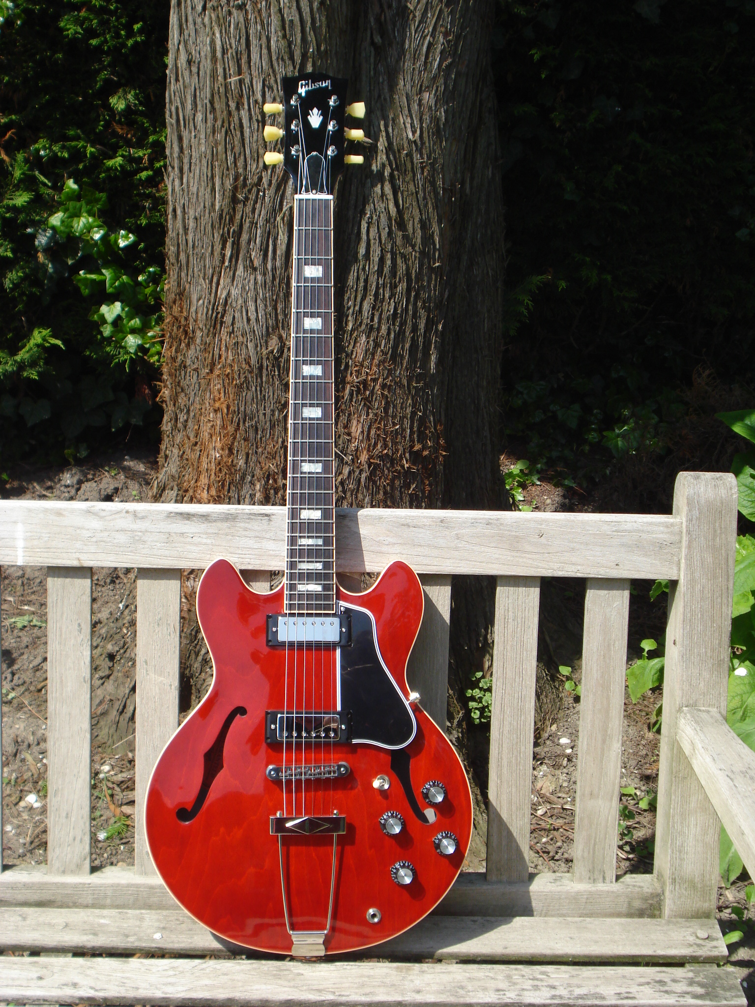 Gibson Casino Coupe?-es390-jpg