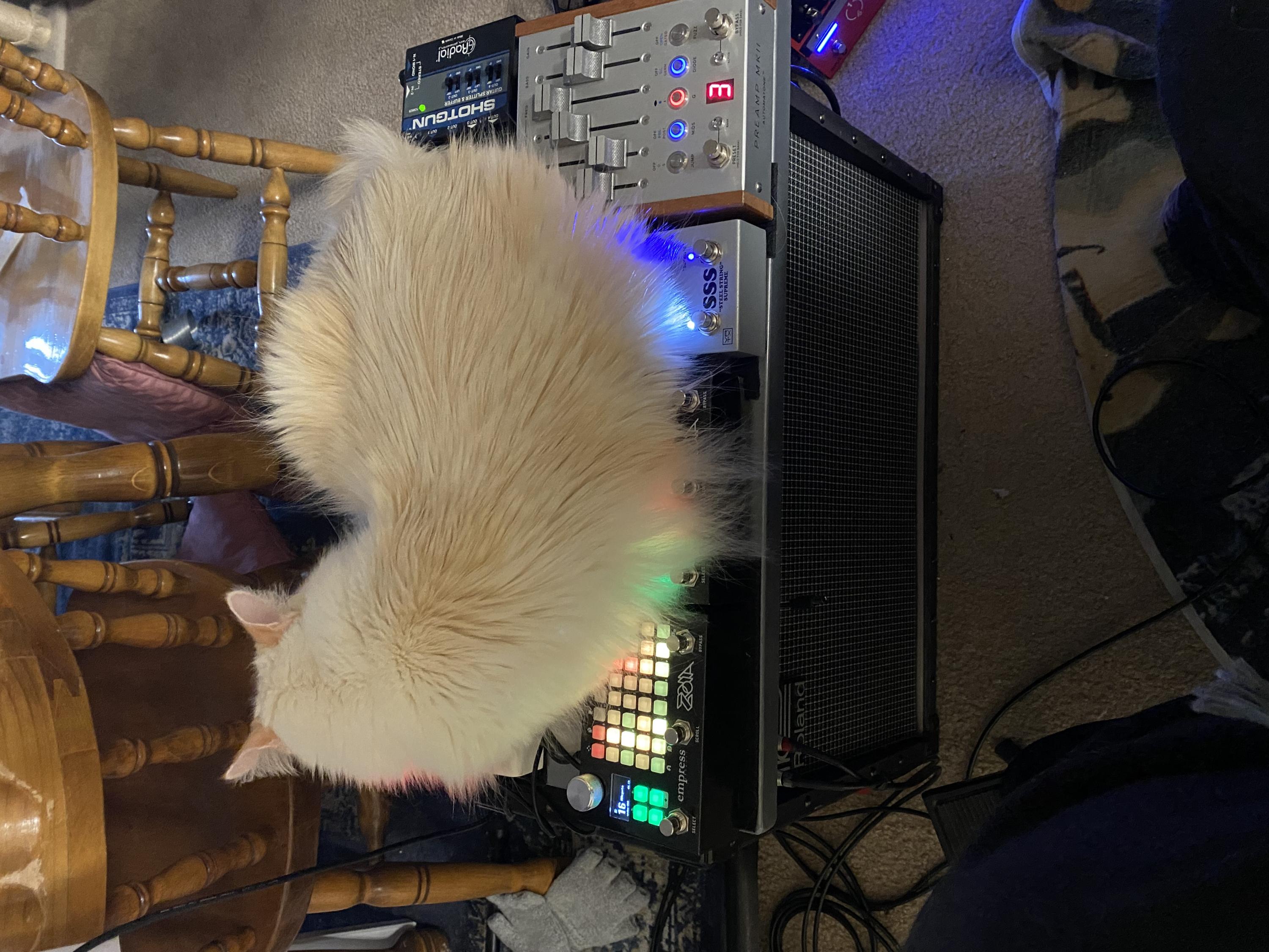 What is the midi CC for&hellip;-img_3075-jpg