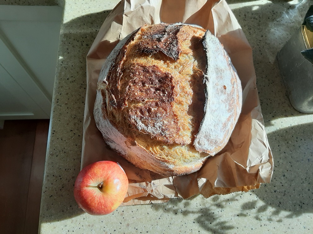 Any other bakers on here?-bread_above-jpg