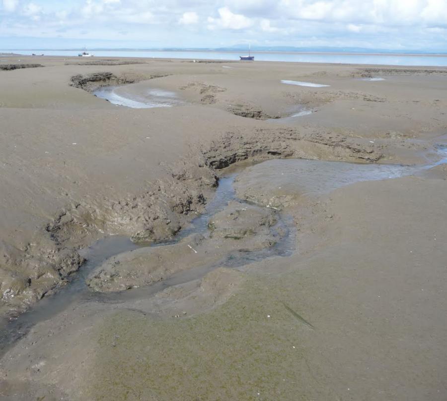 Jazz Fashion-muddy-beach-jpg