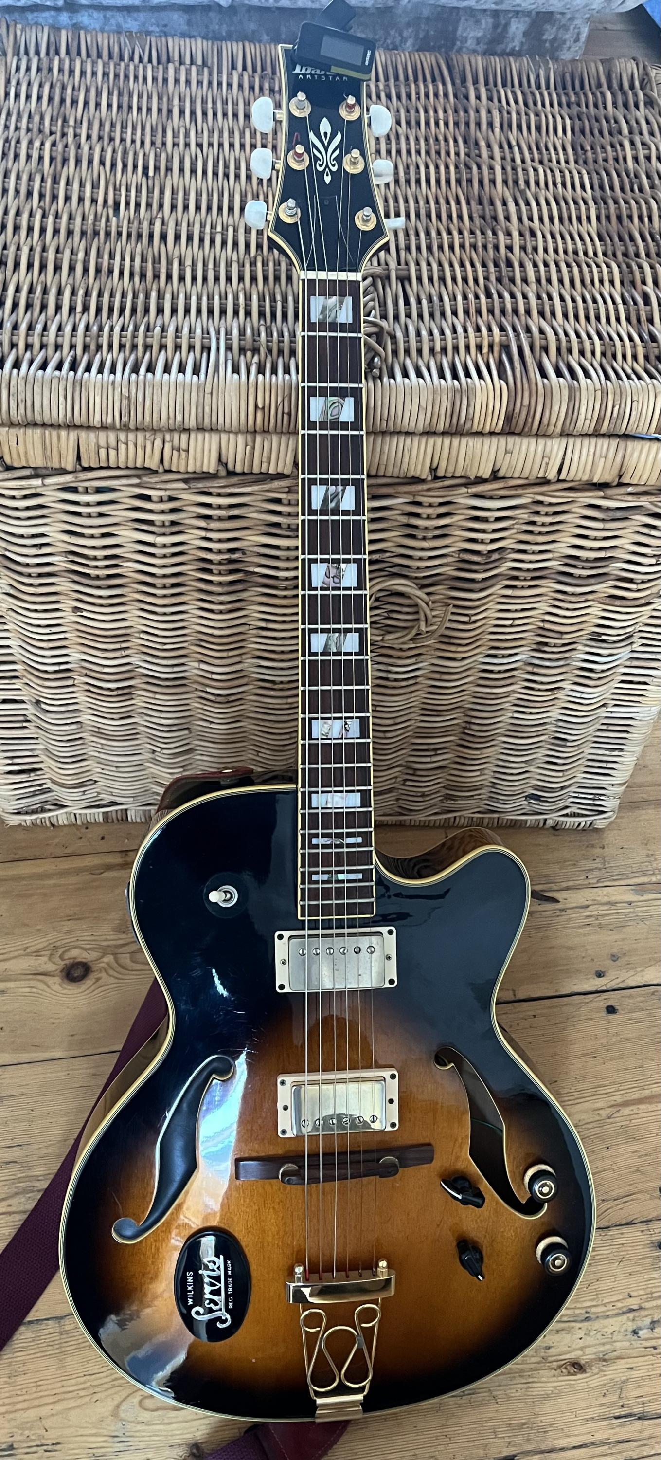 Archtop Guitar Feedback and how to deal with it-img_4619-jpg