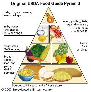 Could there be 1 tune that teaches you 90% of all jazz?-grain-products-intake-usda-food-guide-pyramid-jpg