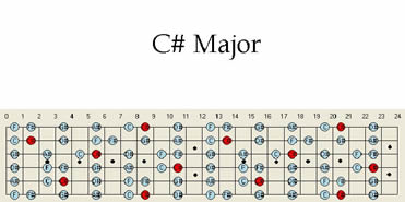 How did you learn all the note names on the fretboard?-guitar-maps-c-sharp-major_000-jpg