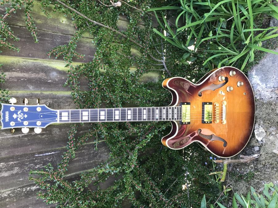 Do I really need an ArchTop to play Jazz guitar?-img_0381-jpg