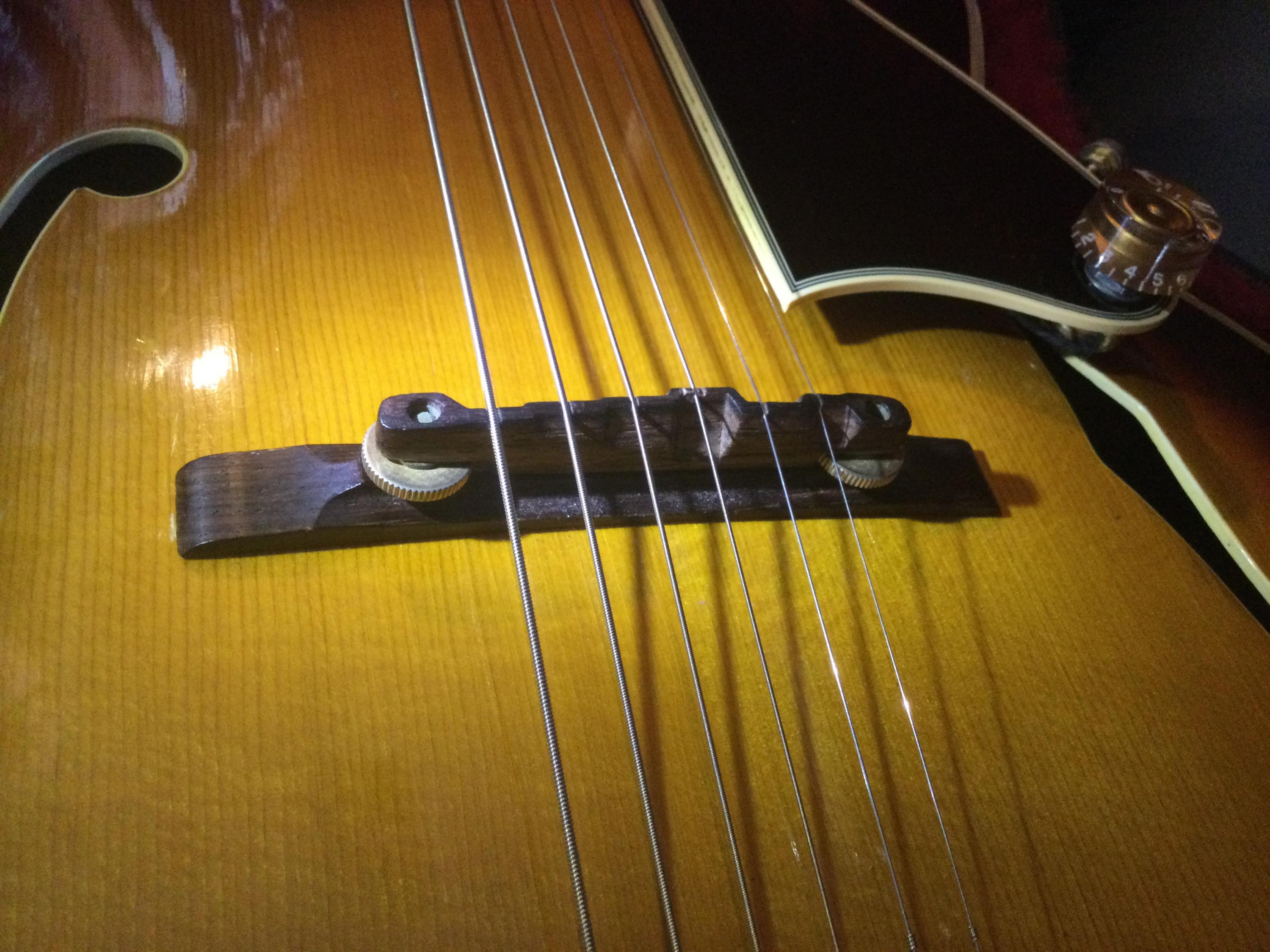 I need to learn about Archtop Bridges-840f2763-9eb4-4e44-9bef-4aae0ba394ba-jpg