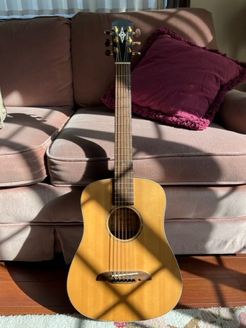 NGD - Alvarez Hollow Body. (??)-babyguitar1-jpg