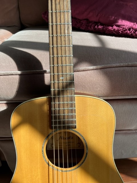 NGD - Alvarez Hollow Body. (??)-babyguitar2-jpg