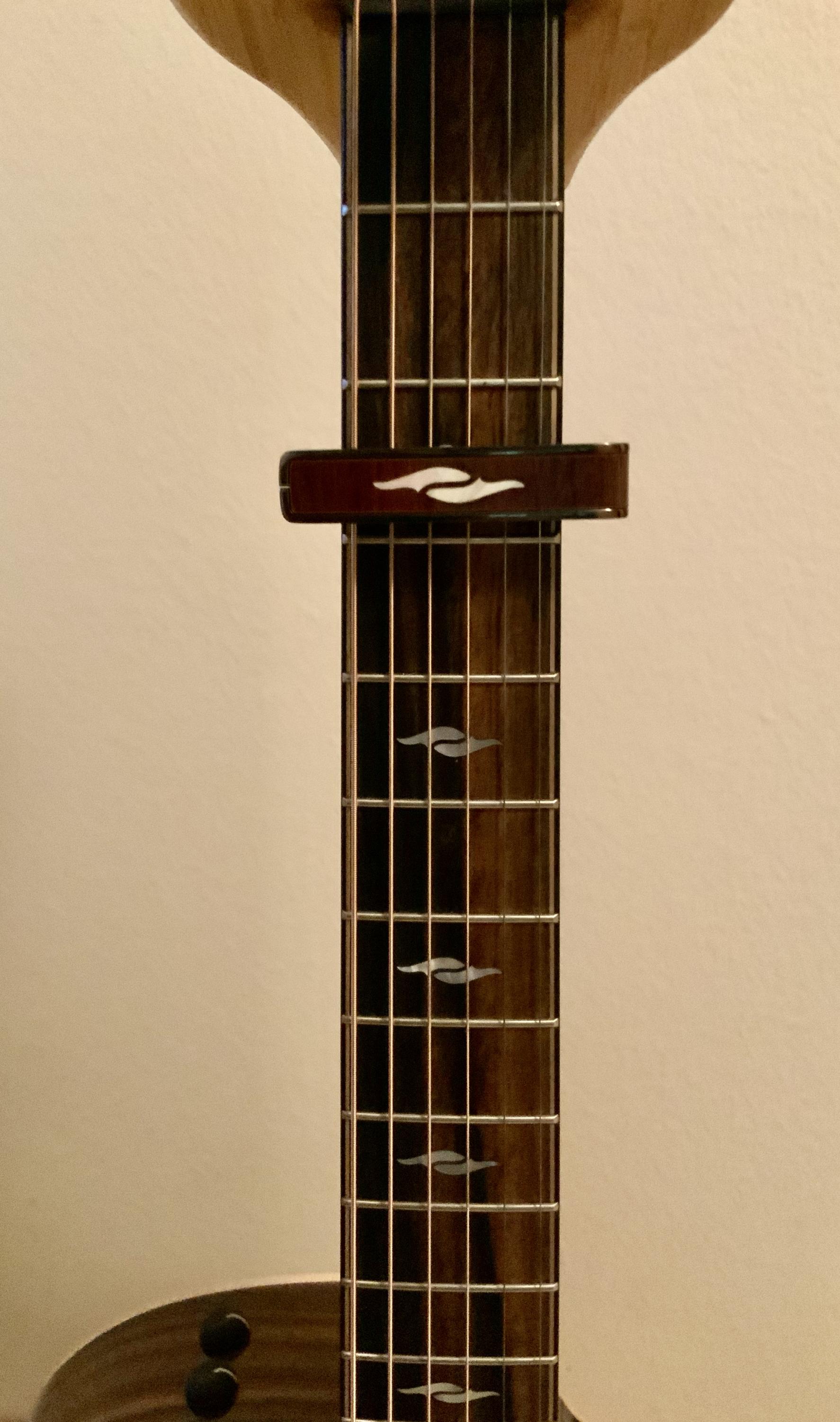 Ebony fretboards - What happened?-img_3254-jpg