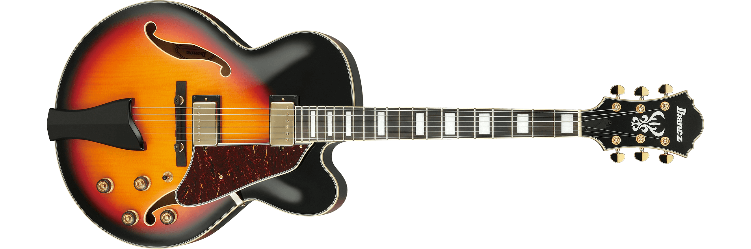 Ibanez Artcore Expressionist series archtop-p_region_af95_bs_5b_02-png