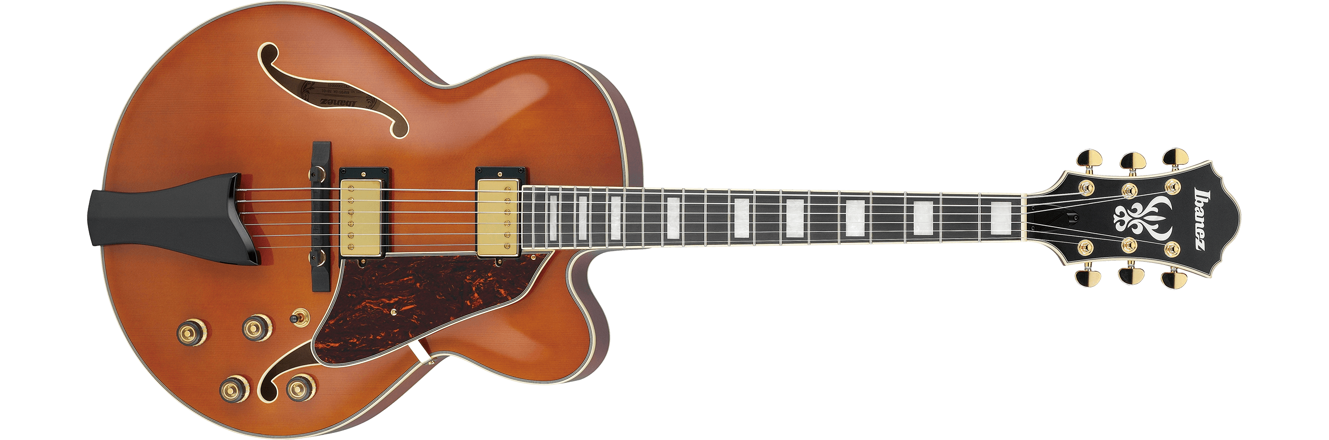 Ibanez Artcore Expressionist series archtop-p_region_af95_da_5b_02-png