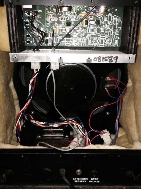 Polytone Mini Brute III-back-jpg