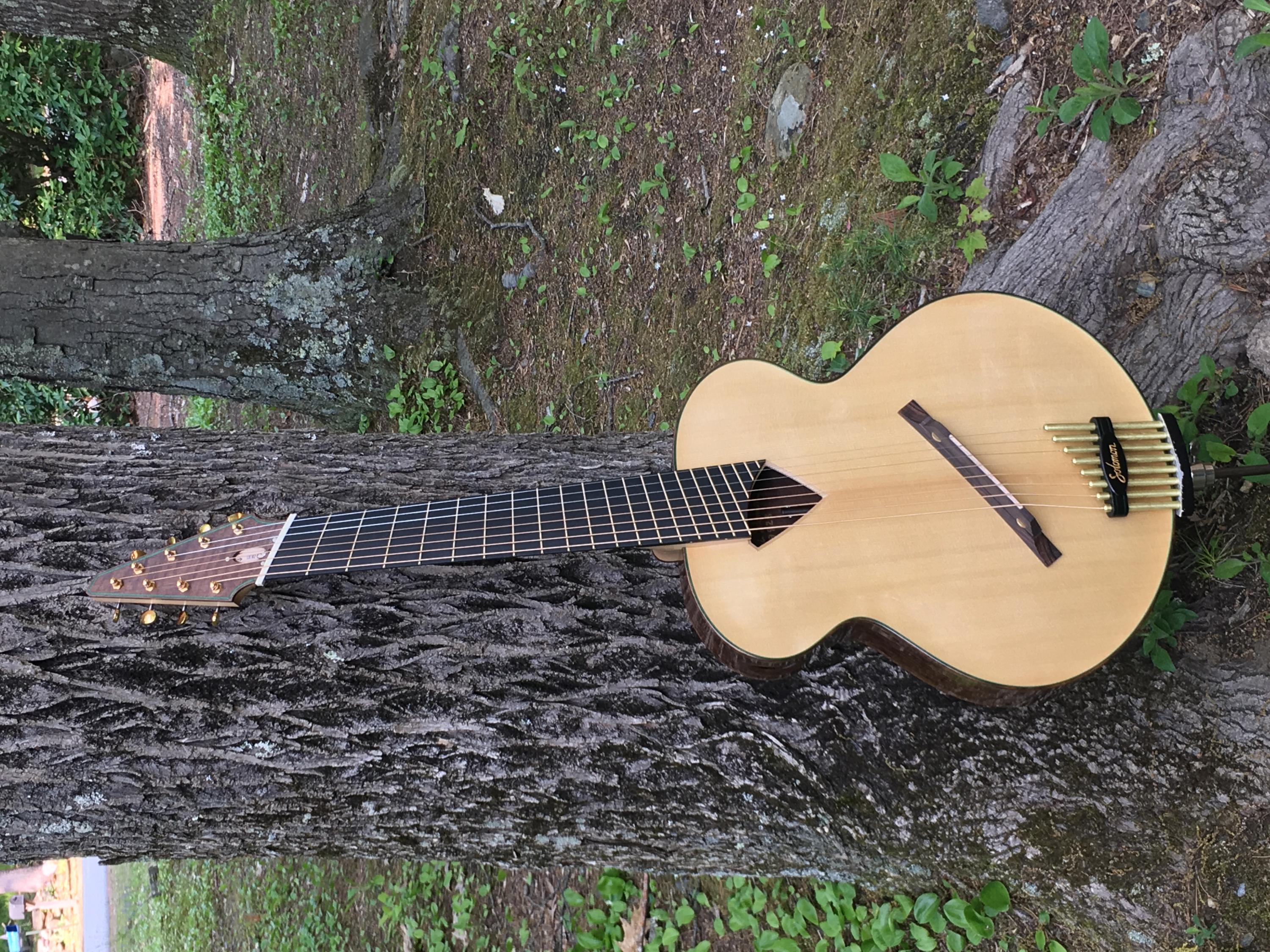 New Guitar Build (2 more months) Erich Solomon 8 string acoustic-70656703346__76fa0170-3815-439c-a455-e82f46924db8-jpg