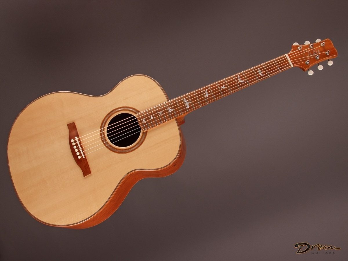 Pernambuco Birthday  dream-2010-prs-tonare-grand-pernambuco-adirondack-spruce-a100410-9-jpg