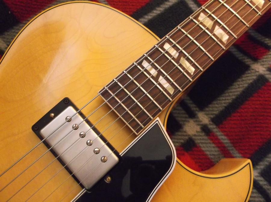 Gibson ES-175 1959 Reissue-1752-jpg