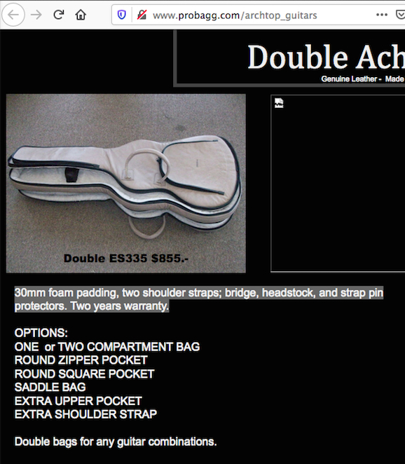anyone know of double 335 style gig bag??-probagg-double-es335-2-jpg