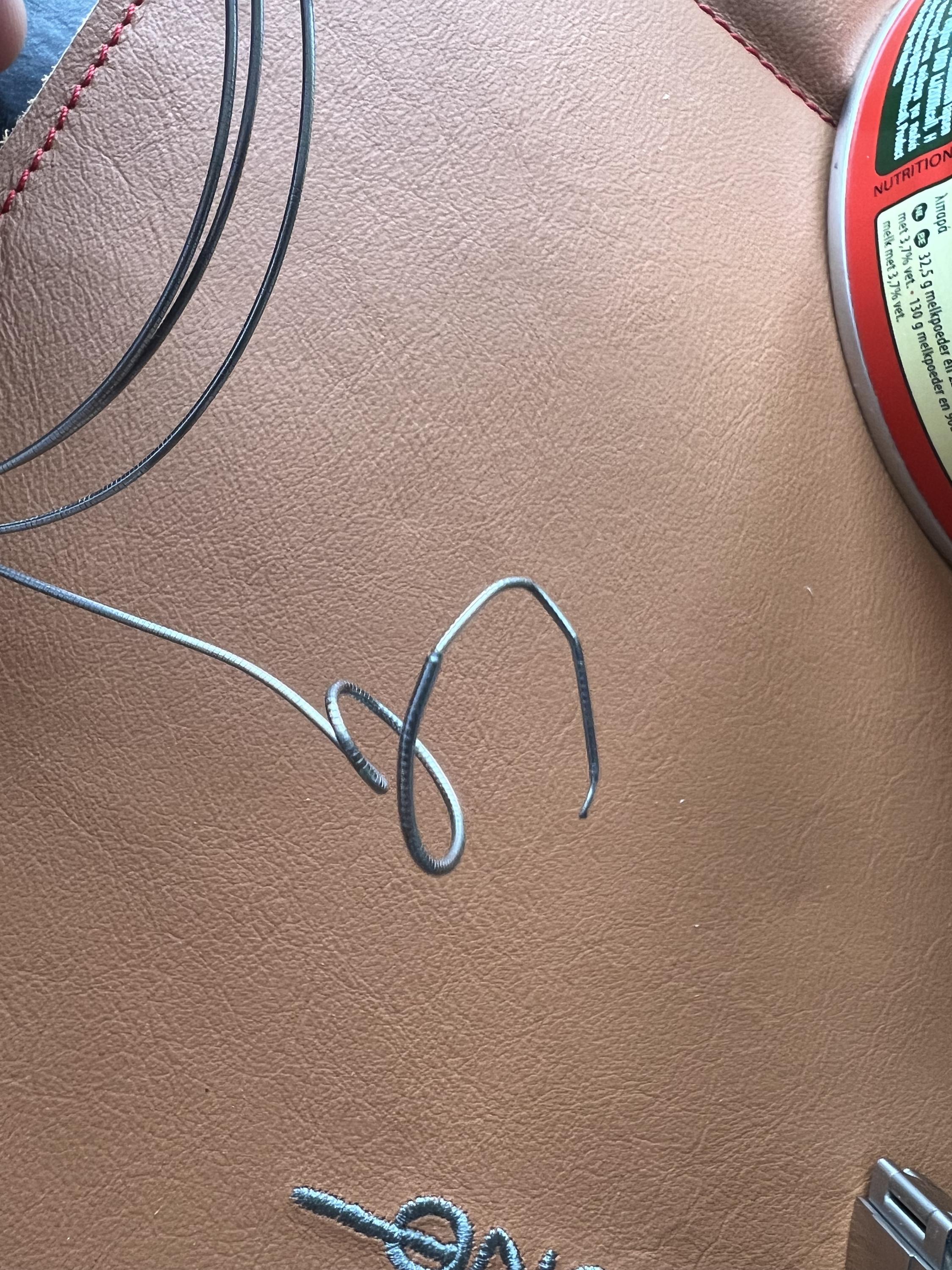 What strings are these?-img_3392-jpg