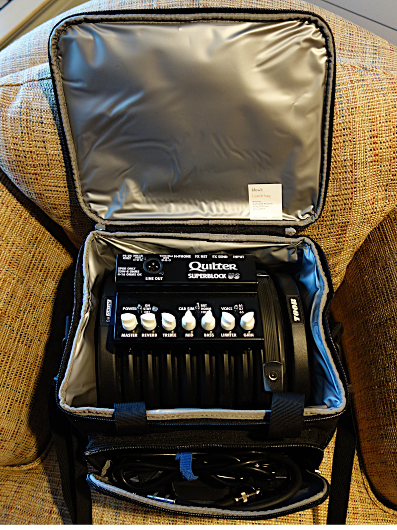 Delta or Blues King amp for playing live and recording?-metro_in_open_lunchbag_800-jpg