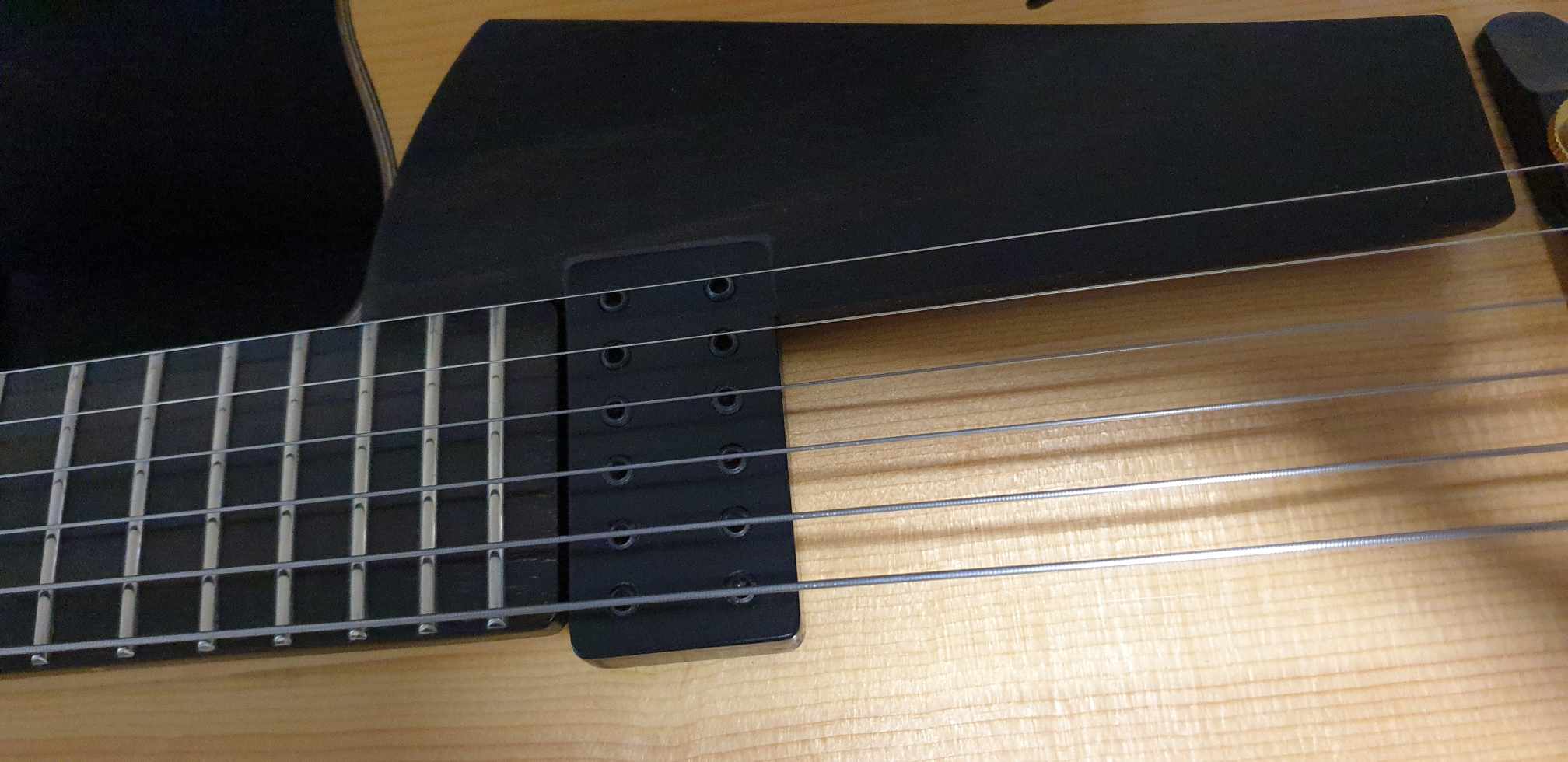 New Eastman Pagelli Electronics Buzz-377323409_146217871891299_8401942448367123722_n-jpg